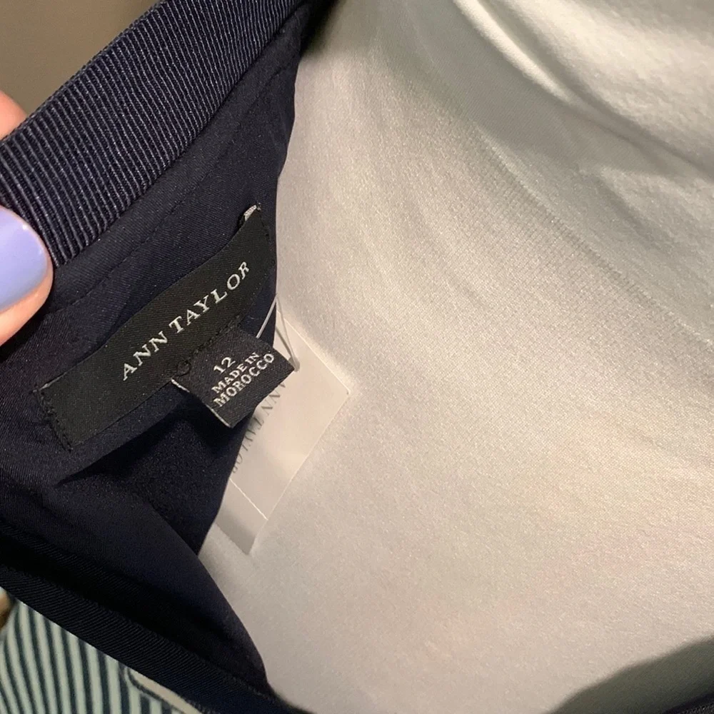 Ann Taylor NWT skirt size 12